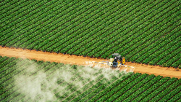 Best Insect Control  in Pleasant Grove, AL