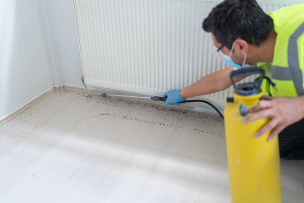 Best Cockroach Control Services  in Pleasant Grove, AL